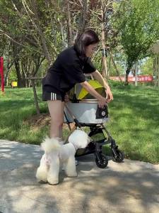 Foldable Large Capacity Pet Stroller