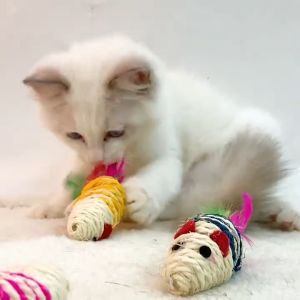 BABYPET ของเล่นแมว หนูปลอม หนูพันเชือกหางขนนก ใช้ล่อแมว หนูถัก เชือกป่าน ของเล่นกัด ฝนเล็บได้ ตุ๊กตาขัดฟัน หนูขัดฟัน