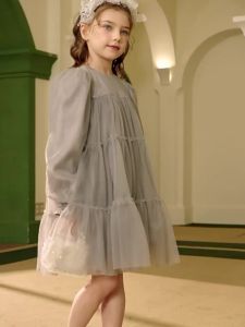 Spring Long Sleeve Princess Dress