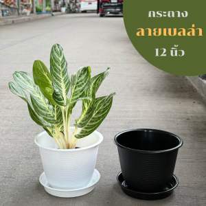 ‼️ถูก ส่งเร็วทันใจ‼️ กระถางพลาสติก ลายเบลล่า พร้อมจานรอง ขนาด 12 นิ้ว