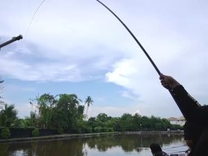 คันชิงหลิว HANDING V-ONE เวท H 5H - M 3.5H - L 1H