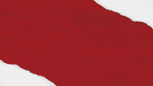 เคลลี่แอนด์โค เดลลี่โดส อาหารฟื้นฟูฟรีซดรายที่มีโภชนาการครบถ้วน สำหรับสุนัขในช่วงพักฟื้น 907 กรัม