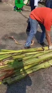 Banana Tree Crusher Banana Stem Plantain Tree Shredder Machine Fresh Banana Plant Shredding Equipment Banana Tree Cutting Machine Banana Tree Domestic Chicken Duck Goose Breeding Banana Shredder