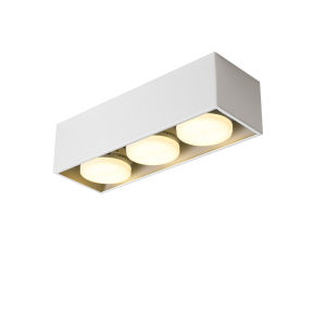 DGY | Double Headed LED Ceiling Lamp