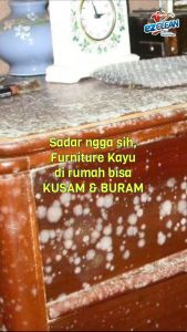 EZCLEAN WOODEN FURNITURE CLEANER & CONDITIONER PEMBERSIH JAMUR KAYU PEMBERSIH LEMARI PEMBERSIH KAYU PEMBERSIH RAK BUFFET PEMBERSIH PLYWOOD PEMBERSIH PLITUR KAYU PEMBERSIH JAMUR PLITUR