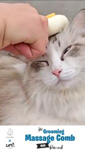 Ume Pet Grooming Massage Comb Cat Hair Removal Pet Needle Grooming Brush Pet Comb Cat Sikat Haiwan 猫耳熊头猫梳子