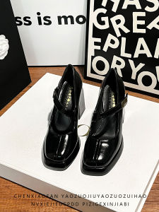 Black Waterproof Platform High Heels Womens 2025 New Commute Versatile Square Head Thick Heel Mary Jane Single Shoes