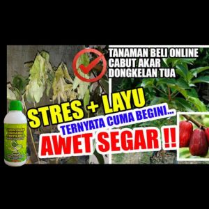 POC PERAWATAN TANAMAN BUAH SAYUR BUNGA