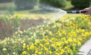 Keycool Hose for Water with Nozzle and Connector for Faucet High Pressure Washer 5101520253035M Garden Heavy Duty