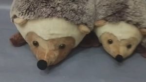 Boneka Landak Fluffi Animals Doll Plush Boneka Hewan Landak XL