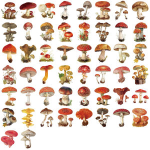50Pcs Vintage Mushroom PET Stickers Transparent Watercolor Decals Creative Stickers for Journal Photocard DIY Decor