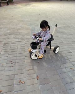 <Mẫu 2025> XE ĐẠP 3 BÁNH KIÊM XE ĐẨY GẤP GỌN KÈM MÁI CHE SAMTRIKE NỘI ĐỊA HÀN QUỐC