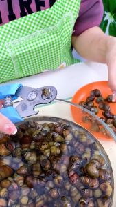 Dụng Cụ Cắt Đuôi Vỏ Ốc Thép Cực Dày Kìm Cắt Vỏ Ốc Lò Xo Trợ Lực Bấm Đuôi Ốc Dễ Dàng Tiện Lợi