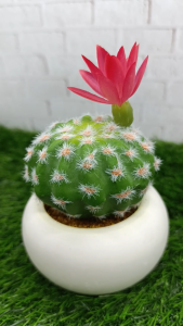 Kaktus Plastik Hias DIY Unik Pot Minimalis | Tanaman Artifisial 10x20 cm | Dekorasi Meja Cantik
