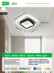DGY | Modern Minimalist Corridor Ceiling Light