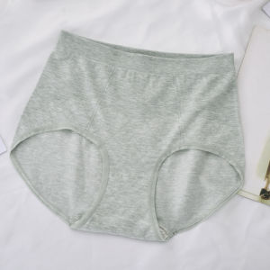 Seamless Modal Colored Mesh Underwear for Women High Waist Plus Size Chubby Girl Sheath Style Seamless One Piece Briefs Head