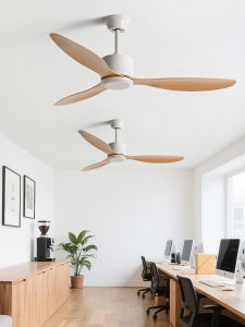 KAIYE | Remote Commercial Large Wind Force Fan