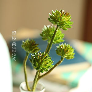 ต้นไม้ปลอมแบบมีชีวิตหลายส่วนสำหรับตกแต่งและสร้างสรรค์ ขนาดเล็ก ถ้วยปลูก ดอกไม้เทียม สไตล์เรียบง่ายและสดชื่น