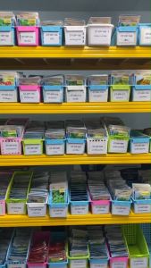 ผักบุ้งจีน เรียวไผ่ CT/OP-006  ผักซอง เจียไต๋  ผักบุ้ง เมล็ดพันธุ์ผัก เมล็ดผัก เมล็ดพืช ผักสวนครัว ประมาณ 420 เมล็ด