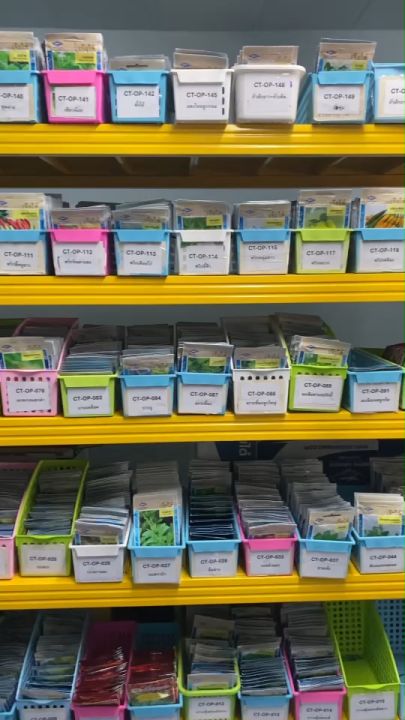 เมล็ดผักบุ้งจีน เรียวไผ่ เจียไต๋ CT/OP-006