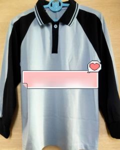 Autumn Uniform School Clothes Long Sleeve Long Pants Public Primary School Please Note School Name in the Comments