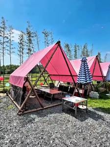 DESHAO | Waterproof Pink Heavy-Duty Camping Tent