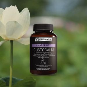 VITAHEALTH CHARGE-UP GUSTOCALM 30S [ SUPPLEMENT FOR HEARTBURN AND GUT HEALTH ] [ EXP DATE : 17/4/2026 ]