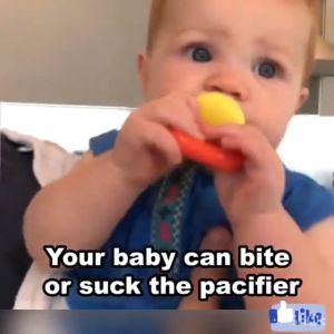 Green Baby Feeder Food Bite Silicon Fruit Pacifier Puting Buah Baby Fruit Pacifier Bc