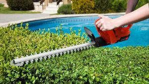 REAIM Mesin Potong Dahan Cordless Hedge Trimmer 22inch Pemangkas Ranting hitam Potong Pagar Tanaman