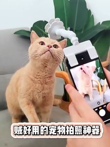 READY STOCK Pet Attaction Selfie Stick 猫咪自拍神器 Kucing Selfie  Cat Dog