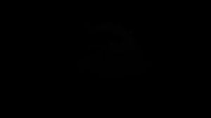 China Shipping [2025][ Spot Delivery in Seconds ]BEABA Biba Baby Big Fish and Begonia NB/S/M/L Diapers XL/XXL Pull up diaper 3.8