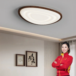 HUANGJIANG | Bright Full Spectrum Eye-Protective Ceiling Light