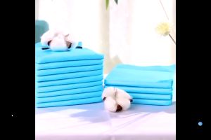 แผ่นรองฝึกขับถ่าย Pet Pad แผ่นรองฉี่สัตว์เลี้ยง ผ้ารองฉี่สุนัข และ แมว ซึบซับปัสวะได้ดีเยี่ยม เก็บกลิ่นได้ดี