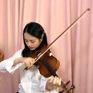 Import Biola Dluxeviolin 4/4 Biola Untuk Dewasa Remaja / alat musik gesek / biola anak / biola remaja