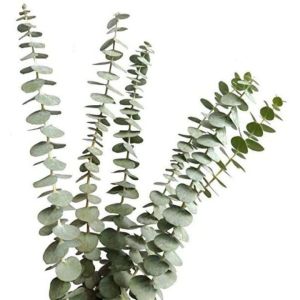 1Pcs Artificial Eucalyptus Leave Greenery Stems with Frost for Vase Home Party Wedding Decoration Outdoor DIY Flower Wall Decor