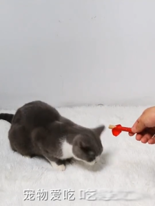 ไส้กรอกแฮมสุนัขอาหารหมา ไส้กรอกแฮมสัตว์เลี้ยง  สุนัขแมวอาหารสุนัขแปรรูปจากเนื้อ มีให้เลือก 3 รส ขนมหมา ขนมสุนัข ขนมแม