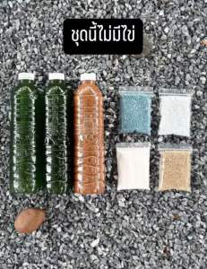 ชุดเพาะน้ำเขียว+แถมไข่ไรแดงมาโคร อามิ ชุดอาหารไรแดง หัวเชื้อน้ำเขียวสาหร่ายคอลเรล่า คอลเรล่าเข้มข้น ไรแดง ชุดเพาะไรแดง