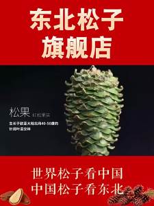 Fresh Large Easy Peel Pine Nuts