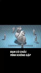 (Liệu Trình 4 hộp) Cholessen - Hỗ Trợ Giảm Mỡ Máu Tốt Cho Sức Khỏe Gan và Tim Mạch