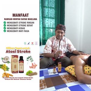 MINYAK HERBAL MAULANA Minyak Pijat Stroke Asam Urat Nyeri Sendi Dan Pegal Linu