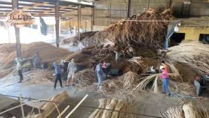 VỎ MÂY- LẠT MÂY ĐAN  [2.5 & 3 mm] TỰ NHIÊN quấn trang trí bàn ghê DIY đồ mây handmade