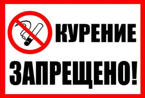 2D Flat Vintage Private Property No Entry Metal Sign - No Pedestrians Cars Drones for Man Cave Workshop Farm Backyard Gift