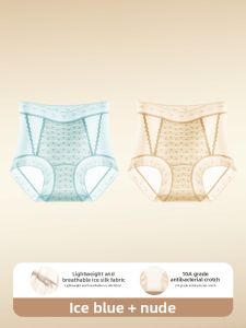 DREAM TIME | High Waist Seamless Lifting Ice Silk Ladies Briefs