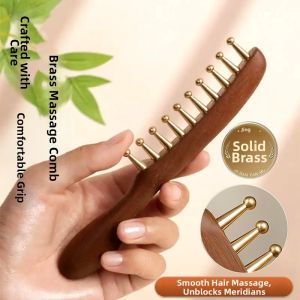 JIFANPAUL | Antistatic Anti-Hair Loss Comb