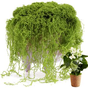 Artificial Green Moss Faux Preserved Moss DIY Crafts Fake Grass for Micro Landscape Terrarium Bonsai Home Garden Wall Decor