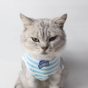 Kalung Kucing Bahan Nylon Lucu Murah - Bukipet Kalung Penguasa Rumah Series