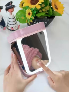 Portable LED Makeup Storage Box with Mirror Adjustable Brightness Cosmetic Organizer Bag for Travel