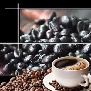 Kopi Ulee Kareng Aceh