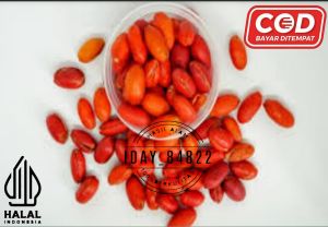 kulit melinjo fres segar 1kg asli merah baru di kupas