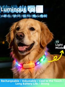 COCOA HONEY | Glowing & Loss Prevention Collar for Small to Medium Dogs